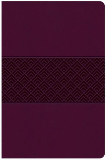Picture of CSB EVERYDAY STUDY BIBLE WINE IMITATION LEATHER