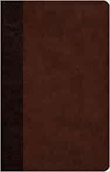 Picture of ESV  LARGE PRINT REFERENCE TRUETONE BROWN
