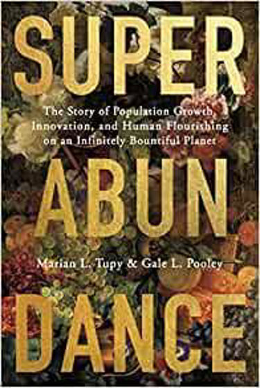Picture of SUPERABUNDANCE: The Story of Population Growth, Innovation, and Human Flourishing on an Infinitely Bountiful Planet HB